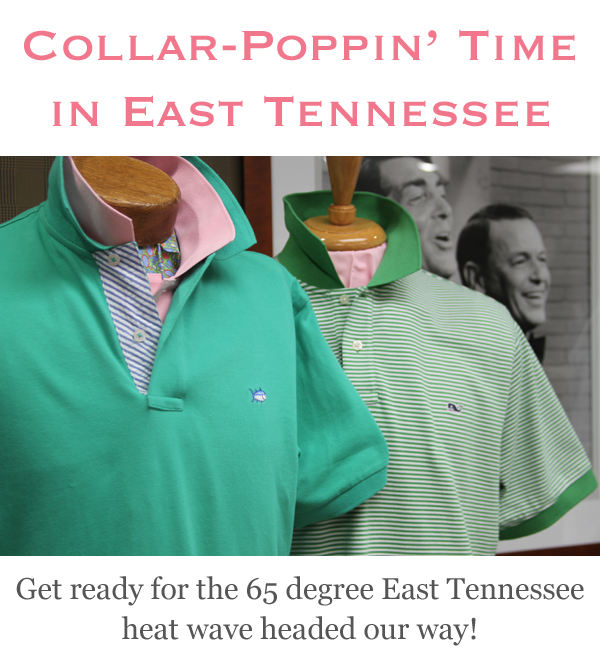 Collar Poppin' Time in East Tennessee